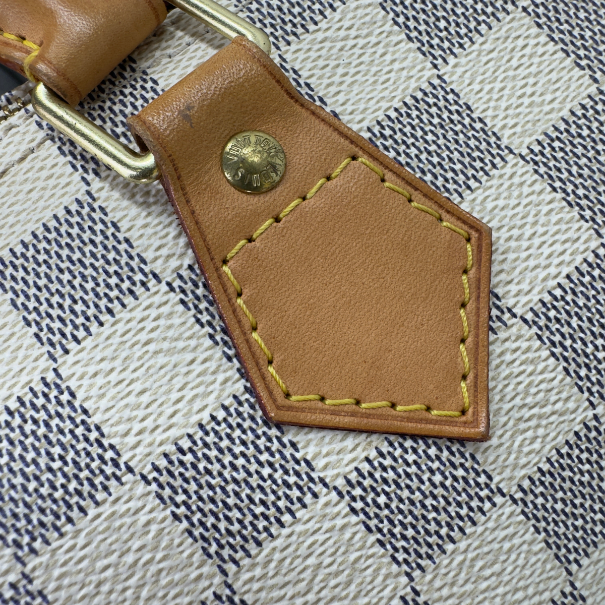 Louis Vuitton Speedy 30 Damier Azur 手袋