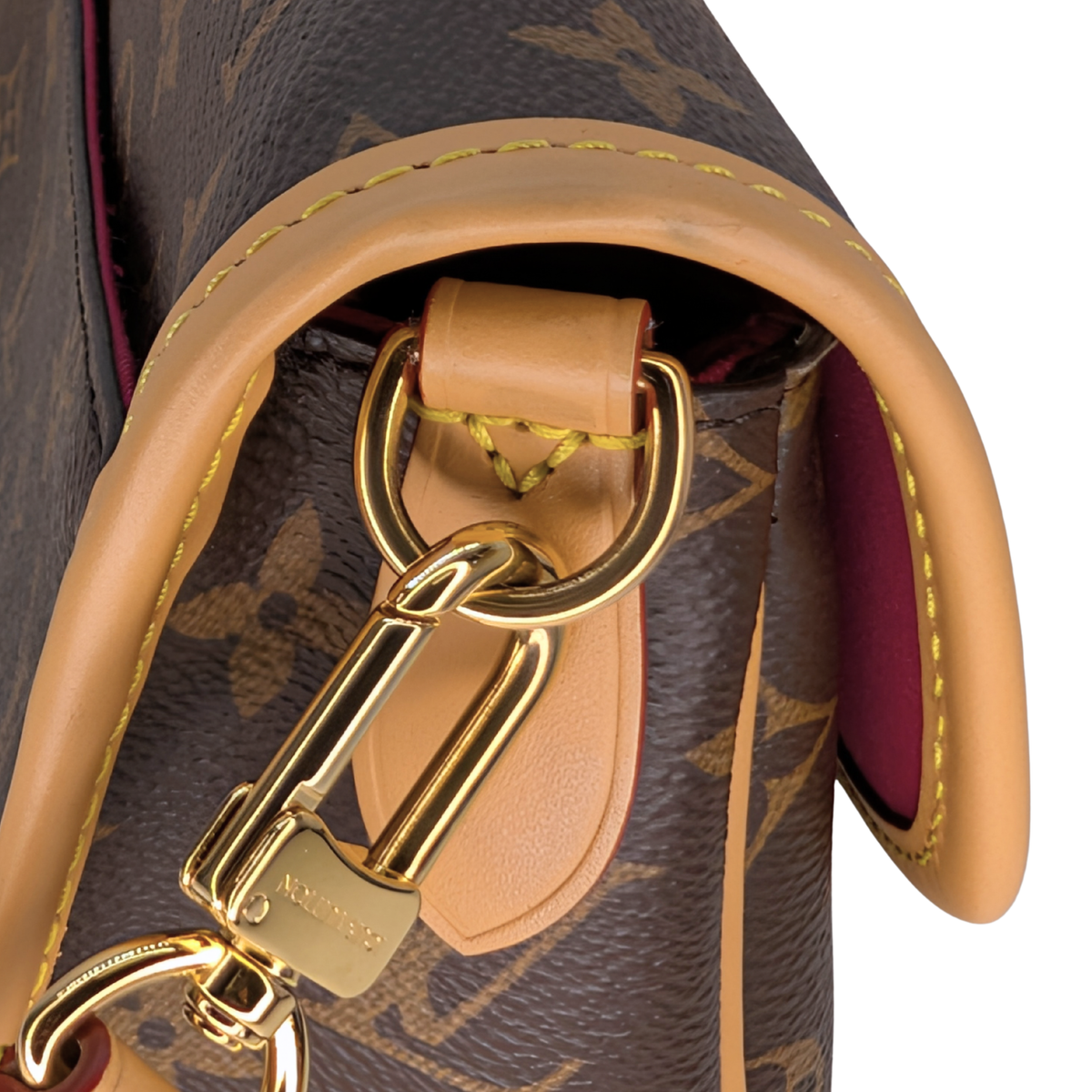 Louis Vuitton Diane Monogram Bag