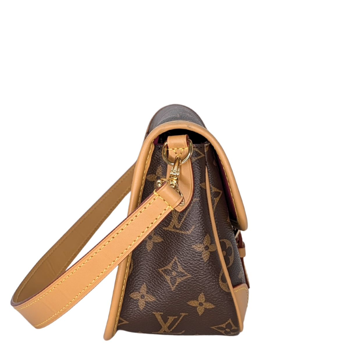Louis Vuitton Diane Monogram Bag