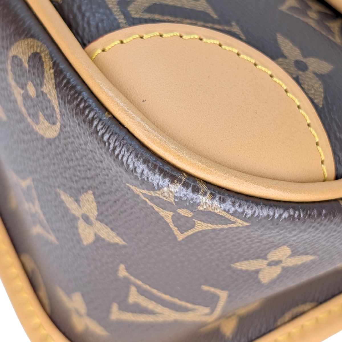 Louis Vuitton Diane Monogram Bag