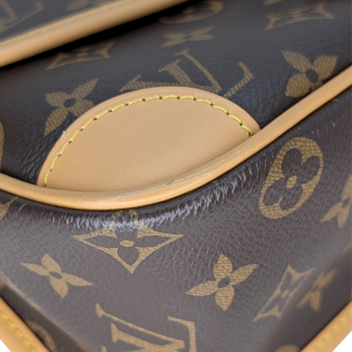 Louis Vuitton Diane Monogram Bag