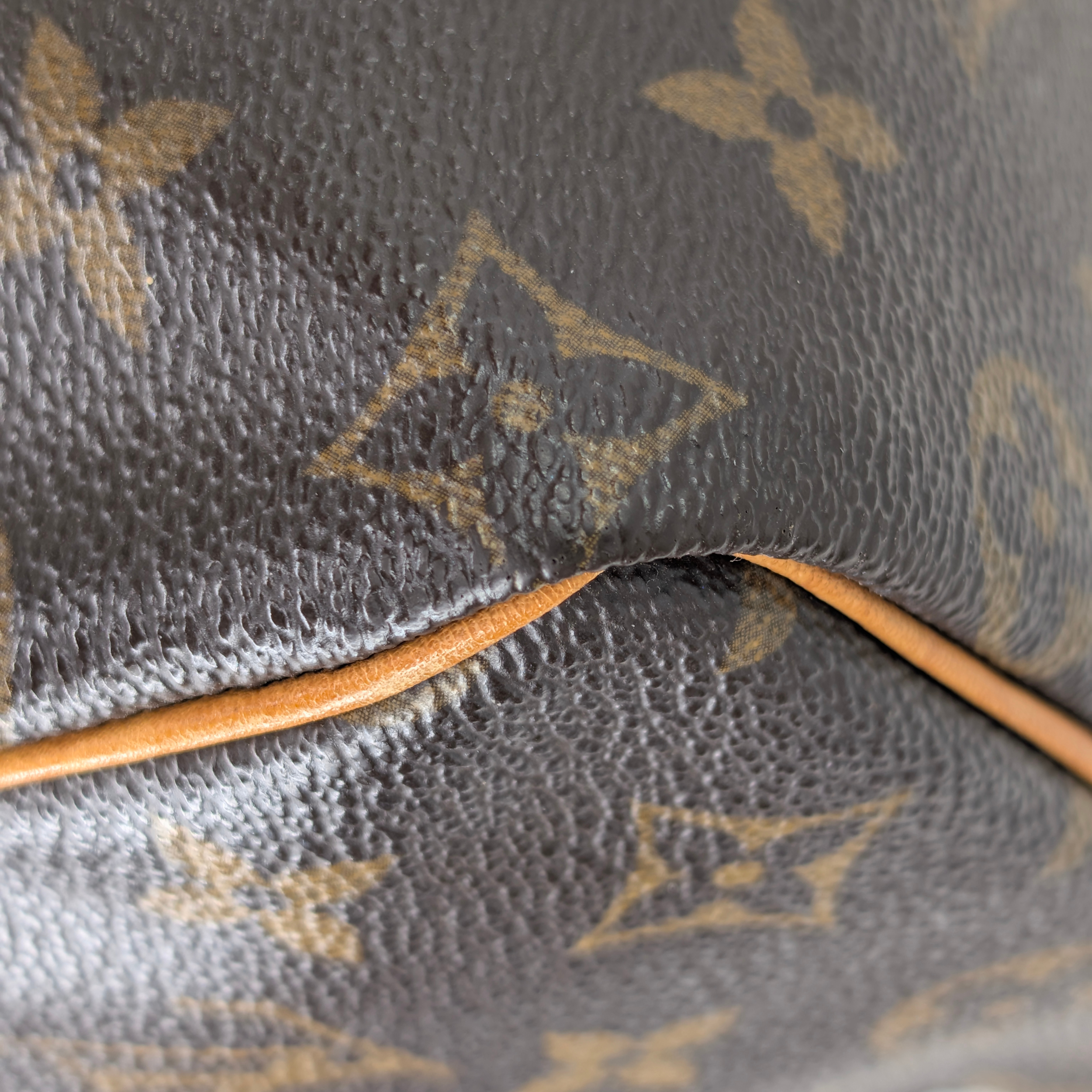 Louis Vuitton Speedy 25 Monogram Handbag